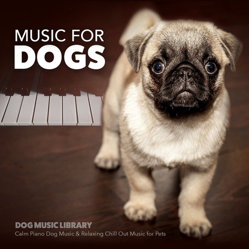 Dog Music Library