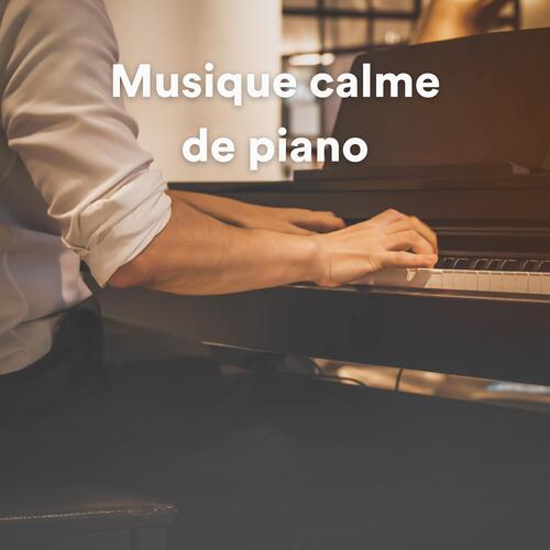 Musique calme de piano_poster_image