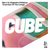 Overview of the Conga (The Cube Guys Radio Edit)