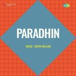 Paradhin