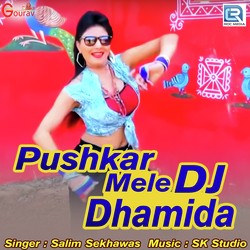Pushkar Mele Dj Dhamida