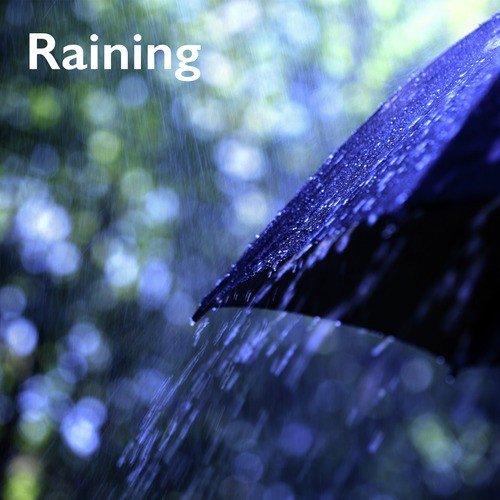 The Rain Sets In cover art