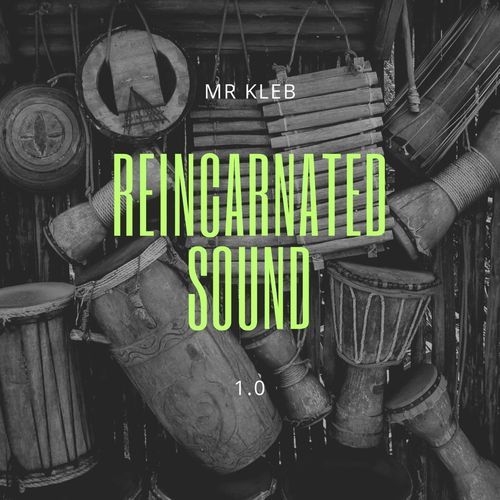 Reincarnated Sound 1.0