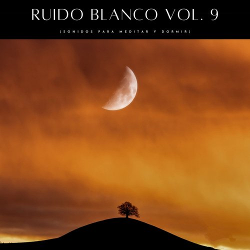 Sonidos De Ruido Blanco Para Dormir Pt. 9 cover art