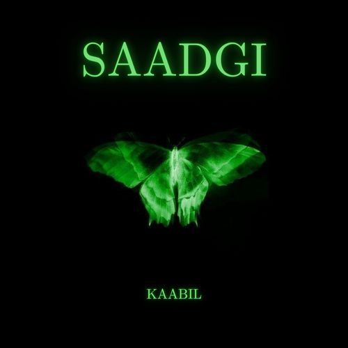 Saadgi