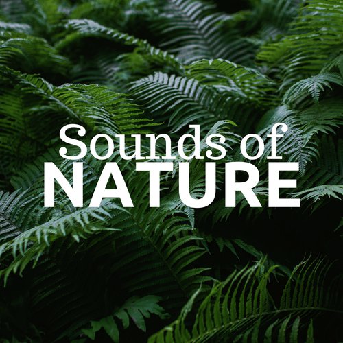 Nature Sounds Associated Artists