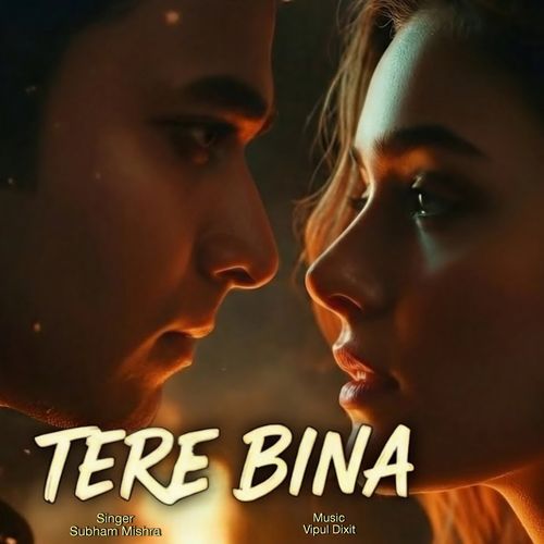 Tere Bina