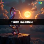 Turi Ke Javani Mate