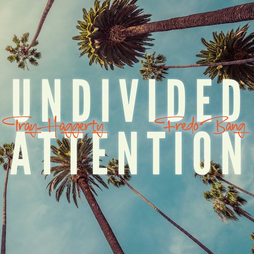 Undivided Attention_poster_image