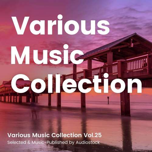 Various Music Collection Vol.25 -Selected & Music-Published by Audiostock-