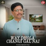 Way Dhola Changi Gal Nai