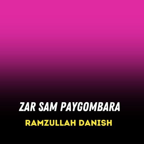 Zar Sam Paygombara