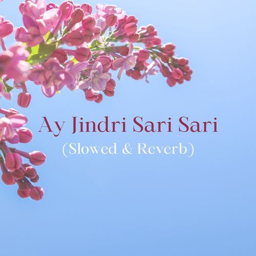 Ay Jindri Sari Sari (Slowed & Reverb)