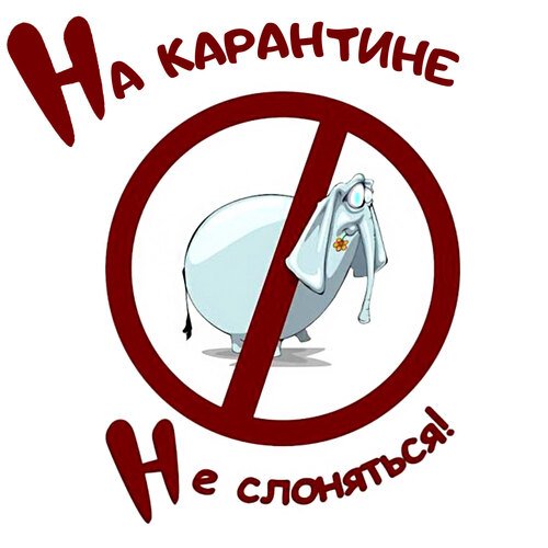 На карантине - не слоняться!