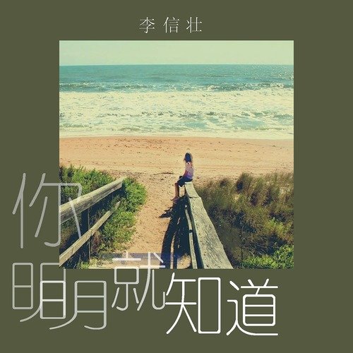 你明明就知道 cover art