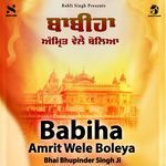 Babiha Amrit Wele