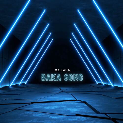 Baka Song Remix_poster_image