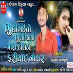 Bhuli gai To Bhuli Jaje Mara Dil Ne Fariyad Na Kar