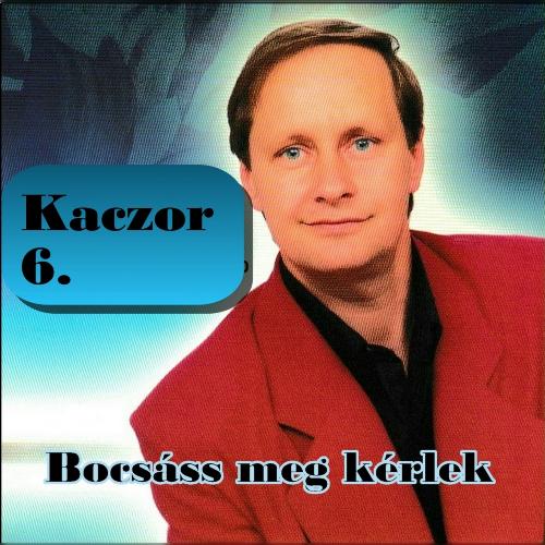 Bevonultam a laktanyába cover art