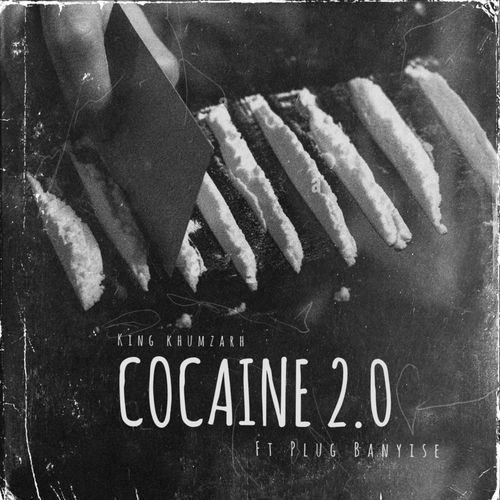 Cocaine 2.0 (feat. Plug_Banyise)