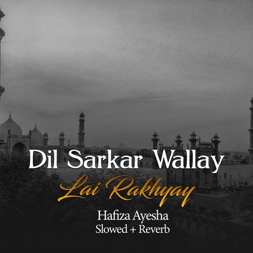 Dil Sarkar Wally Lai Rakhiye (Lofi-Mix)