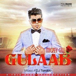 Gulaab-N1oMHCJyZAI