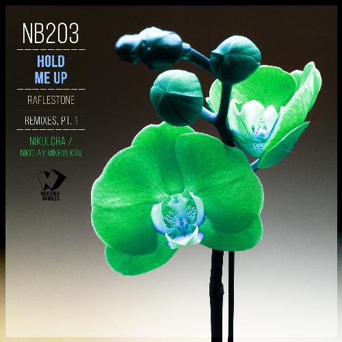 Hold Me Up: Remixes, Pt. 1