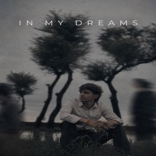 IN MY DREAMS