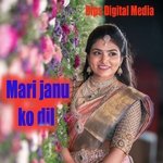 Mari janu ko dil (Rajasthani)
