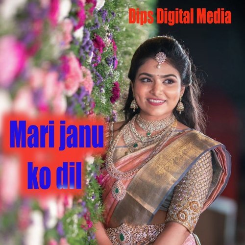 Mari janu ko dil (Rajasthani)