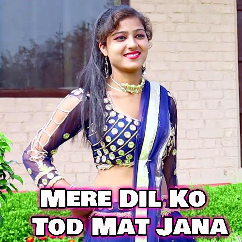 Mere Dil Ko Tod Mat Jana_poster_image