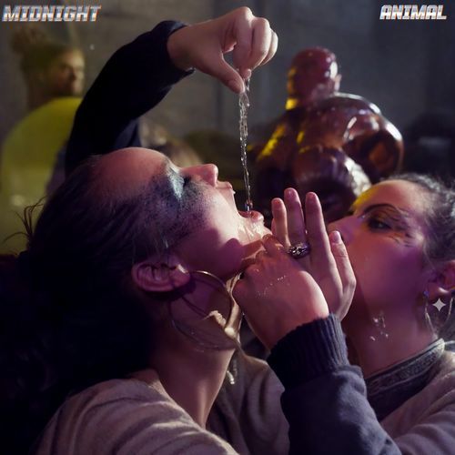 Midnight Animal cover art