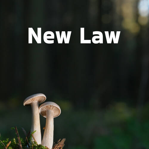 New Law