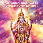 Om Namo Bhagwate Vasudevay Namah