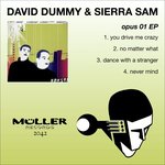 You Drive Me Crazy (Original Mix)
