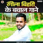 Bijali Raja Ji Pe Giri Ho