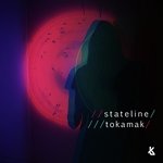 Tokamak