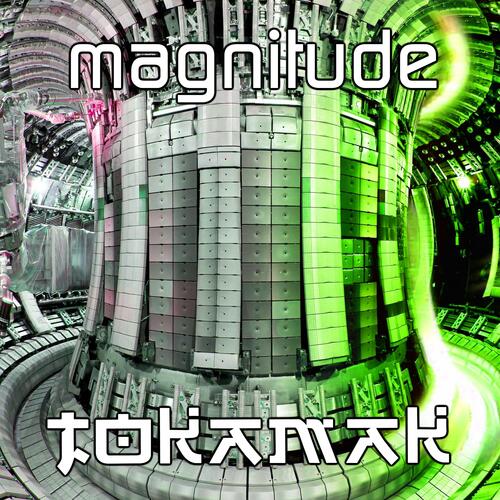 Tokamak cover art