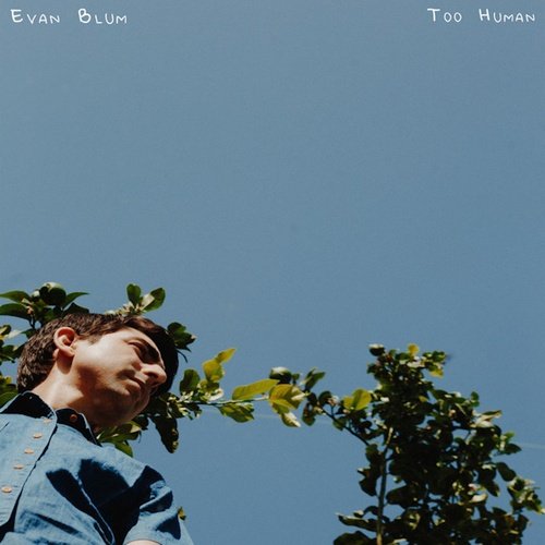 Too Human cover art
