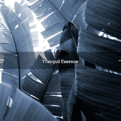 Sound Bath cover art