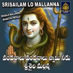 Vandanalu vandanalu swami niku srisaila mallanna artwork
