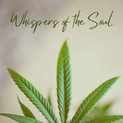Meditate with Music cover art