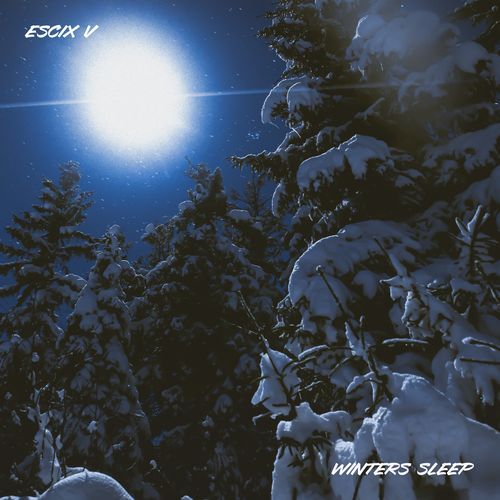 Winters Sleep cover art