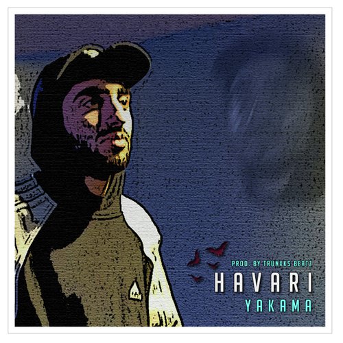  Havari