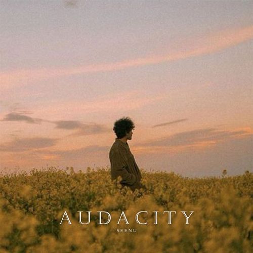 AUDACITY