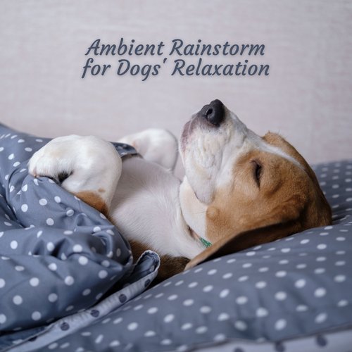 Soothing Showers Sing Dogs' Lullaby cover art
