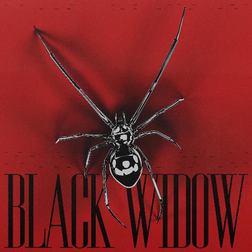 BLACK WIDOW_poster_image