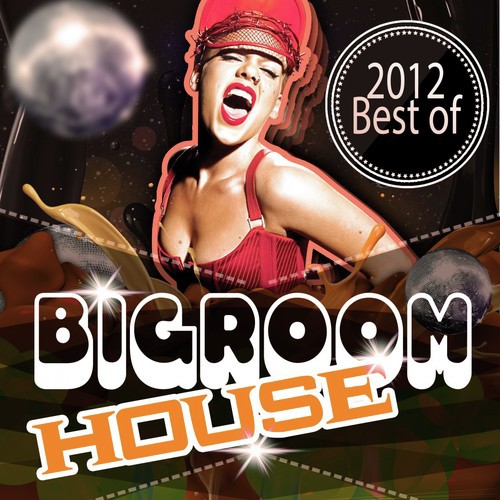 Bigroom House 2012 Best Of