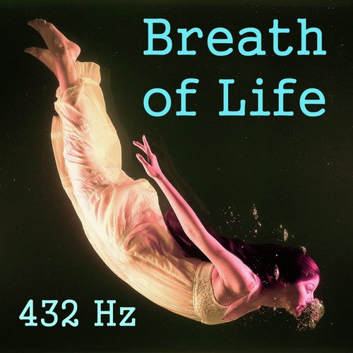 Breath of Life_poster_image