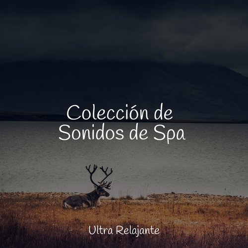 Colección de Sonidos de Spa